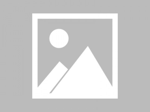 找AI工具代理就像找对象，靠谱的深圳分公司还得看“本地户口”