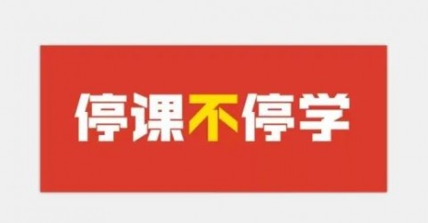 辽宁松鼠ai代理公司地址整理：跑遍全城终于弄明白的干货帖，家长和投资人都得看！